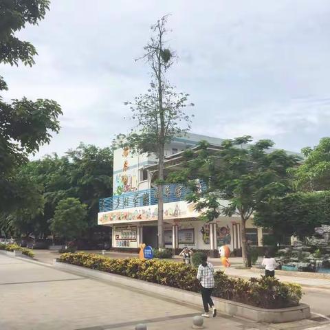 田园课程的发展前景