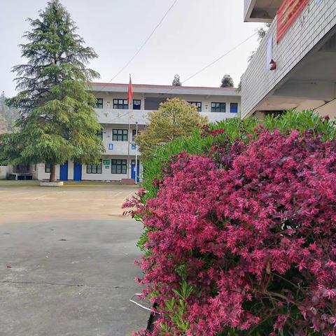 待到山花烂漫时，我们相约在学校                                              —桐山乡中心学校初三复学