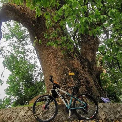 四月的三明骑，喝酒的邀约行