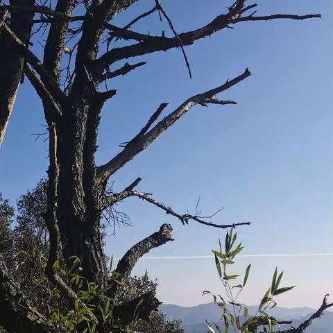 和东坡先生一起过年