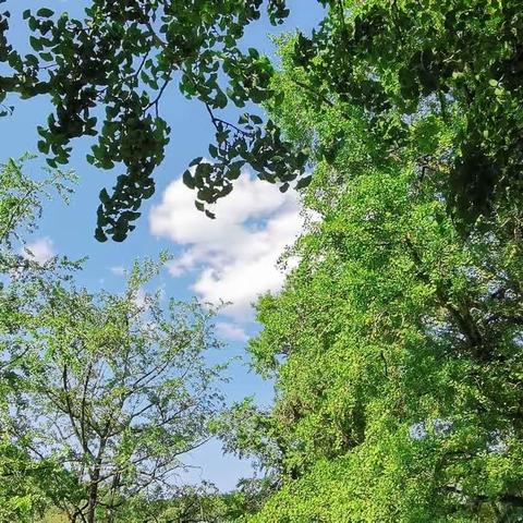 三人四县五一行，跋山涉水假日欢。