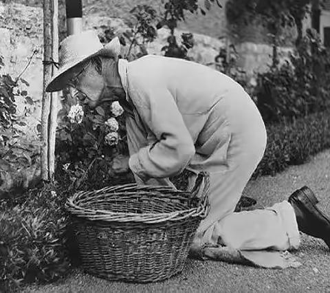 旅行，是残酷的孤独和严格的炼狱