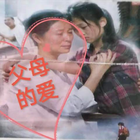 电影《父母的爱》观后感  作者  李心贞
