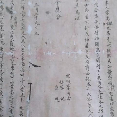 老分家合同里的家族信息