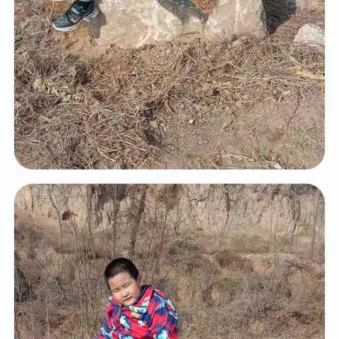 董宸图的快乐假期