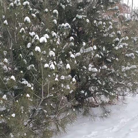 致青春里的那个人