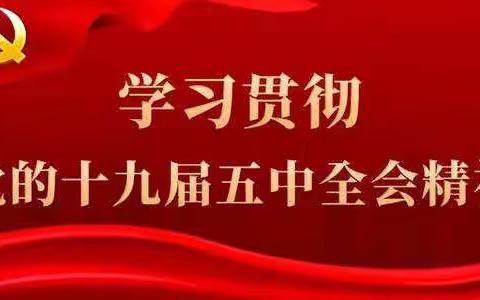 学习宣传贯彻党的十九届五中全会精神，包钢十一园团支部在行动