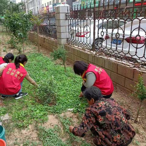 龙塔街道淞江社区“学党史、悟思想、践行动、为民办实事”主题教育