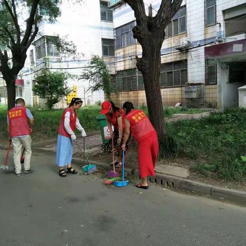 淞江社区清洁家园活动