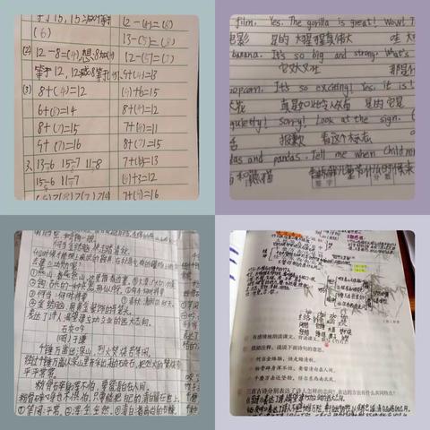 王楼镇苏庄小学“停课不停学”我们在行动