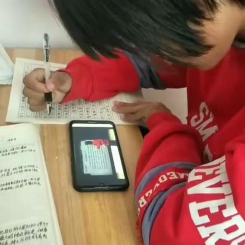 王楼镇苏庄小学“停课不停学”我们依然在行动