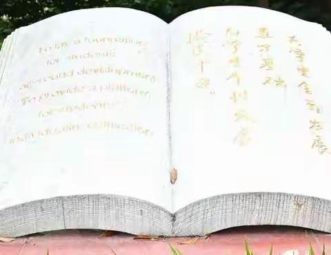 二（4）班“停课不停学”第八周学习打卡🌈