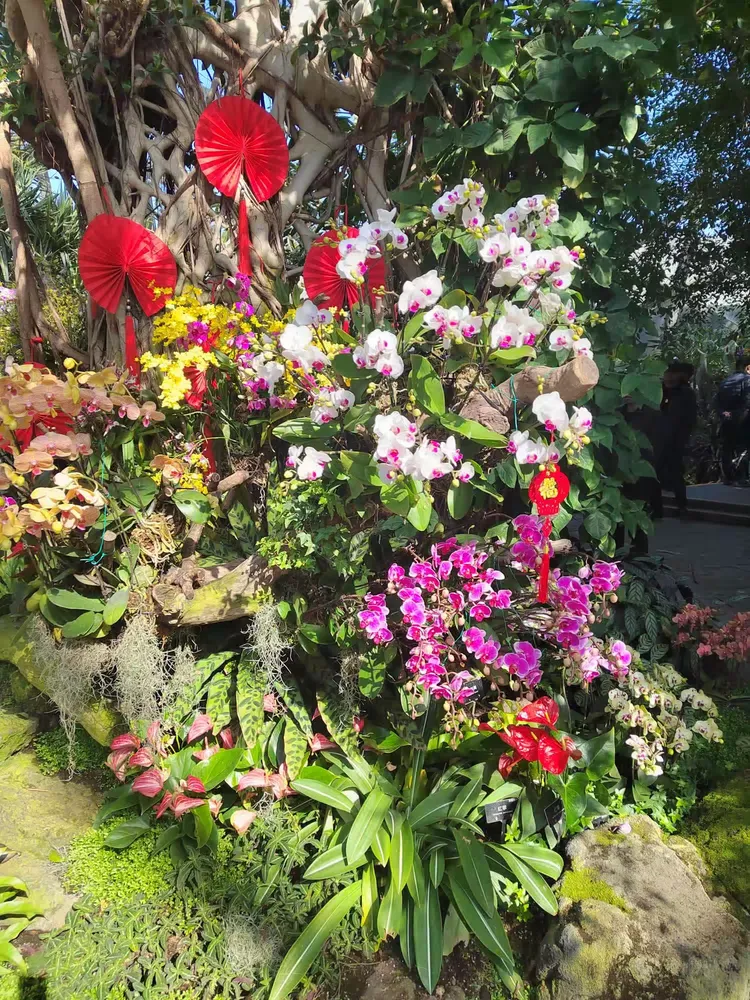 辰山植物园珍奇植物馆图片