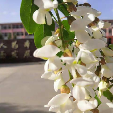 与焦虑和解，从容应对中考