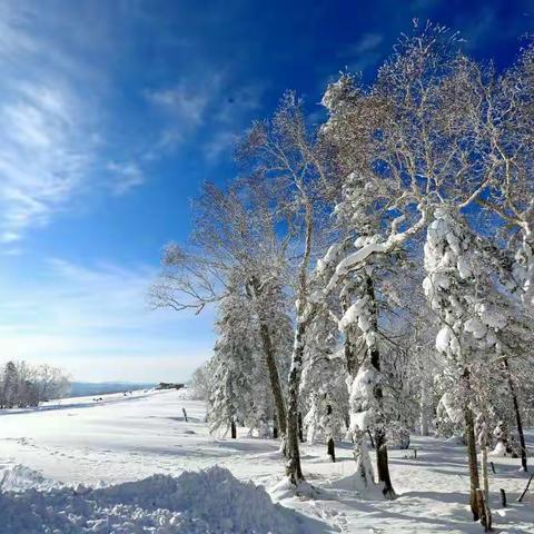 冬天到东北 看冰看雪看雾凇