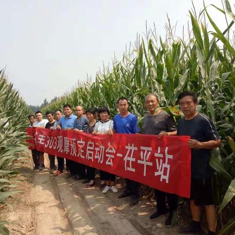 热烈祝贺茌平县裕丰303观摩预定启动会议圆满成功！