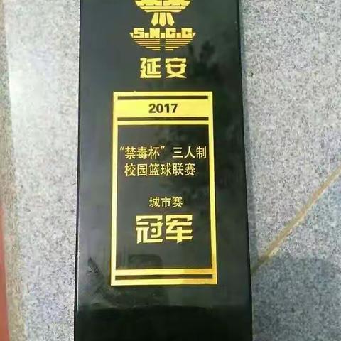 富县少年宫一青少年健身俱乐部学员在陕西省“禁毒杯”三人制篮球联赛中获延安赛区冠军。