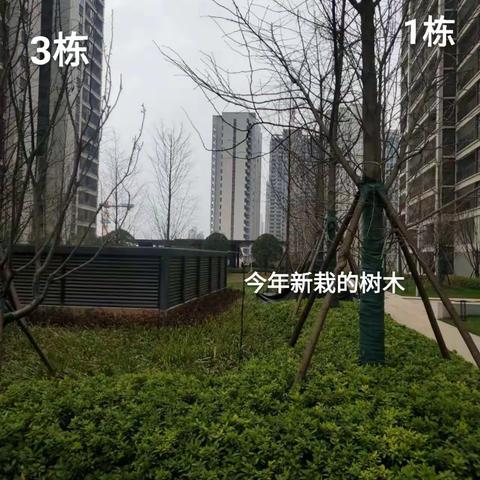 麓谷山湖郡小区最新进度