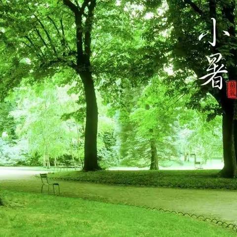 落实“双减”政策，创新作业形式——二十四节气之小暑篇