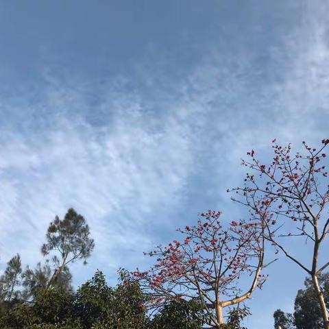2017年4月踏青—————鼓浪屿游记