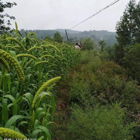 风雨无阻，砥砺前行