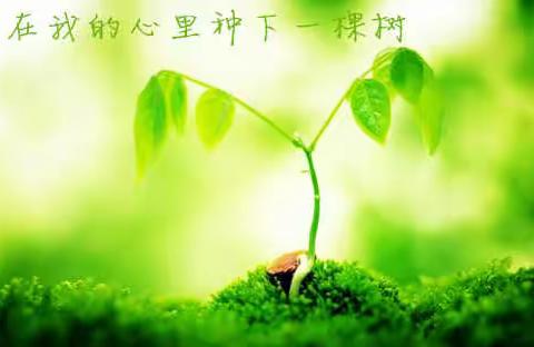 用爱为世界增添更多色彩--海边街小学六年(二)班主题班会