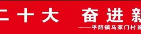平陌镇马家门村举办首届群众（网上）书画展
