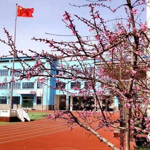 教研不迟到，静等学子归——冠县实验小学五年级语文线下研讨活动