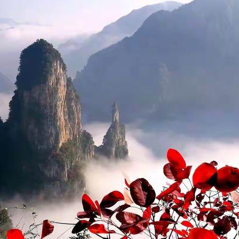 辛丑首夏游三峡（上）
