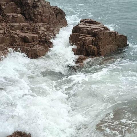 雪浪与美女、海鲜和渔村