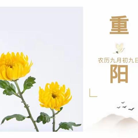 【灞桥教育】深情九九，爱在重阳——记宇航中学“我们的节日”系列活动