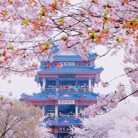 留·离