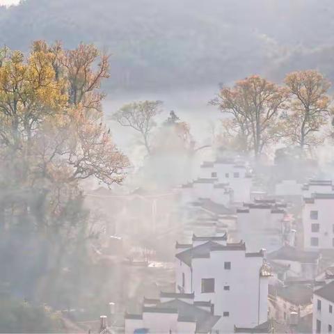 寻·婺源