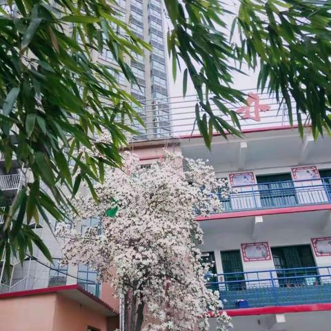 业务检查落实处 学习交流促成长——方城五小管理一部作业教案检查记录