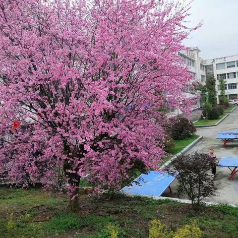 共抗疫情 “书”送温暖