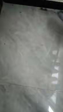 高二九班206宿舍德育作业