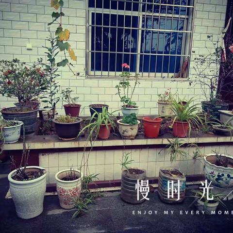 舍不得的，最伤人！