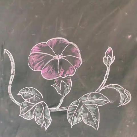 没有在美篇上发过的旧作一百图