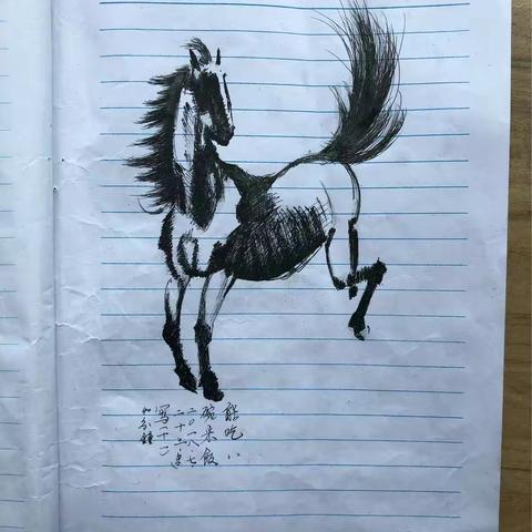 229画