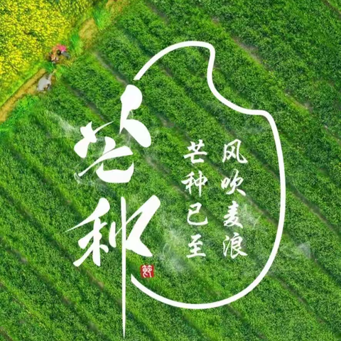 [美丽前杜北】“于时代沃土耕作梦田，在岁月河岸浇灌心田”——前杜北学校四年级 24节气芒种躬耕纪实