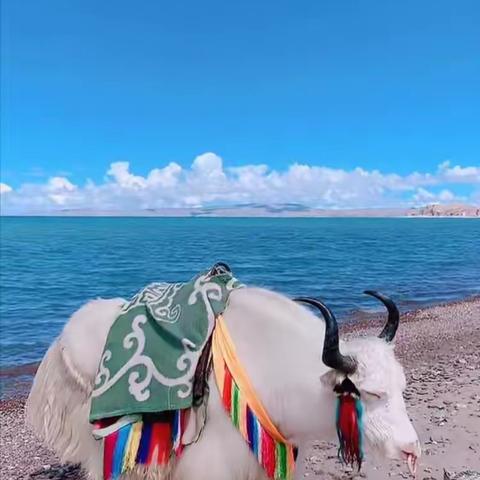 郑宗秀（禾乃文亚）的美篇