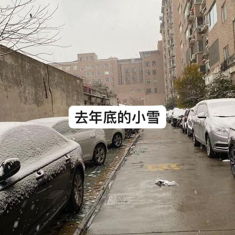 郑宗秀（禾乃文亚）的美篇