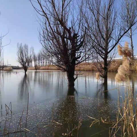 [武遂人][順]的美篇