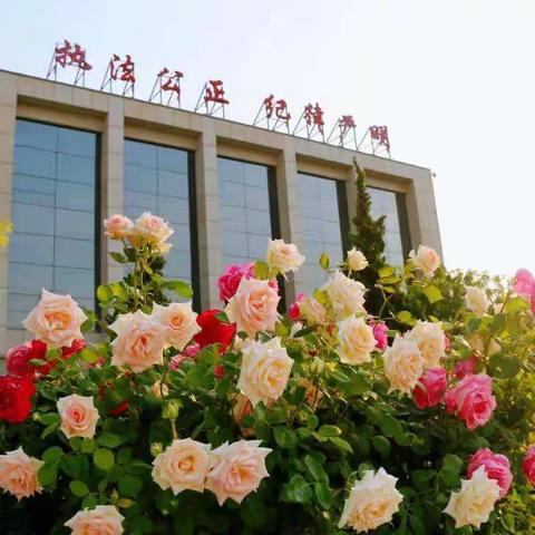 [武遂人][順]的美篇