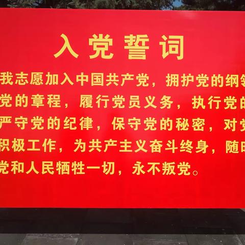 锦山第三中学党总支组织开展主题党日活动