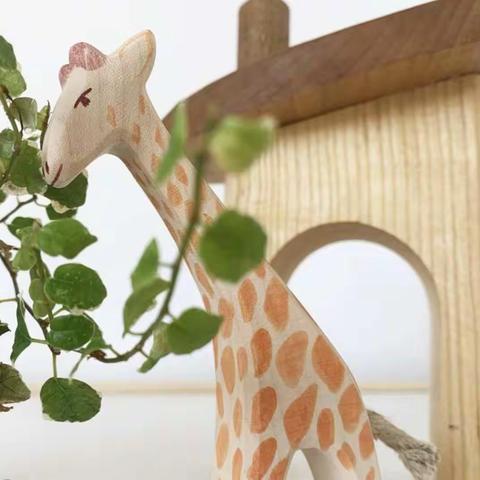 中和镇中心幼儿园“宅仔乐”共享亲子时光第 二十八期（中班组）