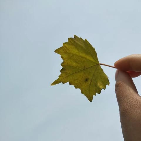 一切都是刚刚好