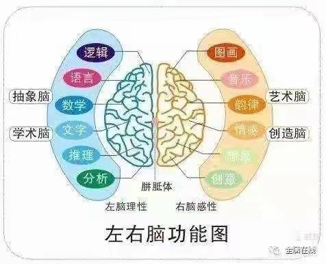 《3岁灵性，右脑开发》——大风车瓦窑街园