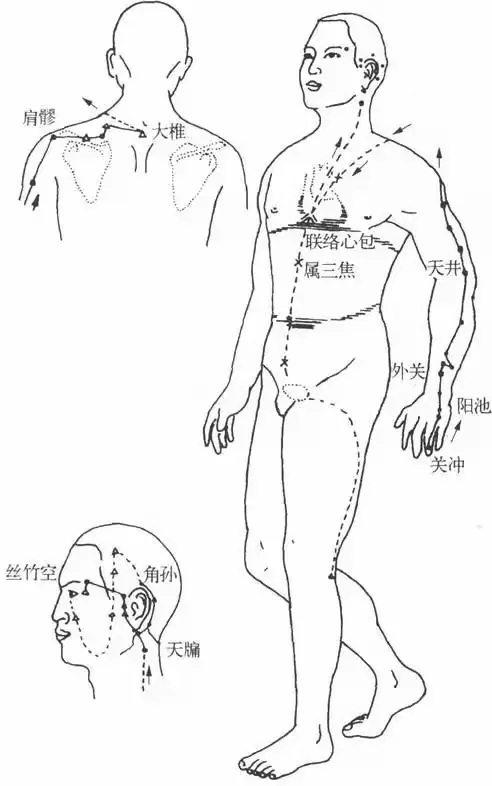 "经脉之道"篇——手少阳三焦经