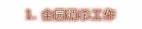 平安过年||疫情防控，西亭康城伟才幼儿园在行动